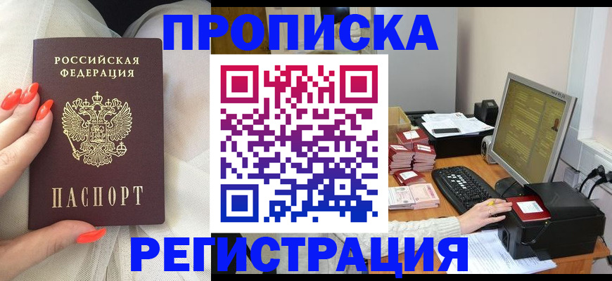где прописаться в Каргополе